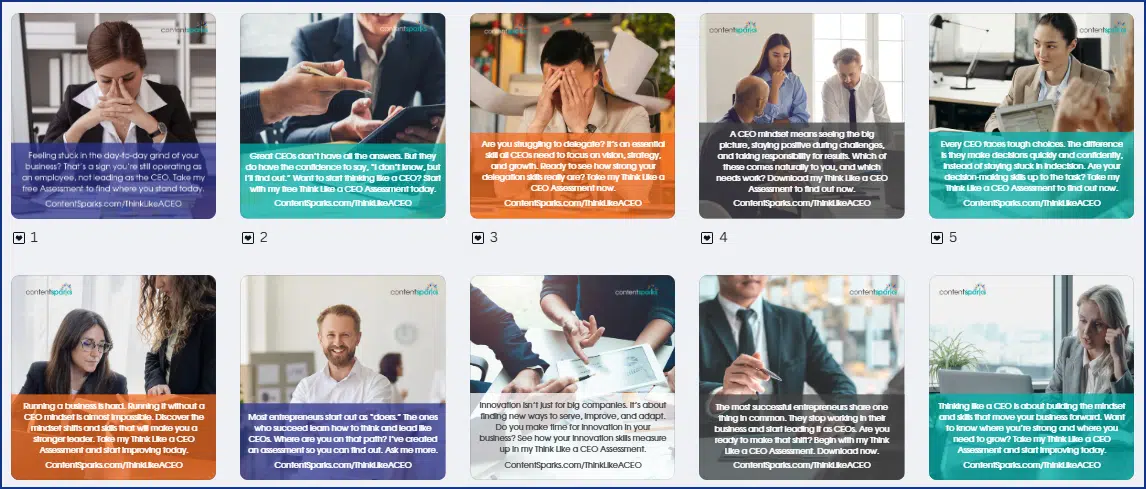 CEO AssessmentImages