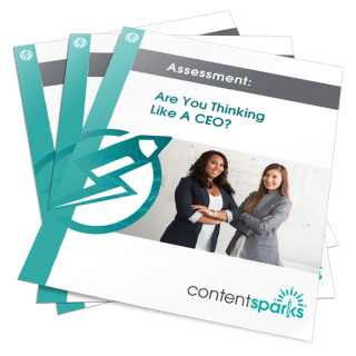 Are you thinking like a CEO PLR Assessment