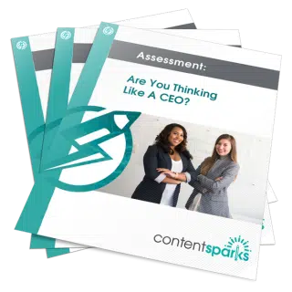 Are you thinking like a CEO PLR Assessment