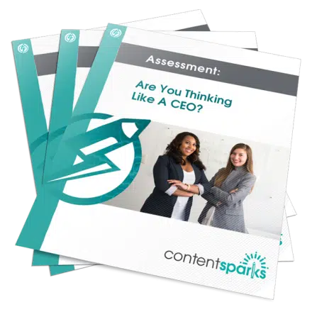 Are you thinking like a CEO PLR Assessment