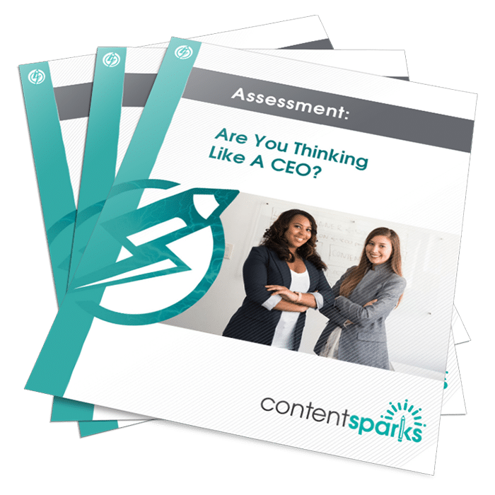 ThinkLikeACEOAssessment_eCover3D Are you thinking like a CEO PLR Assessment