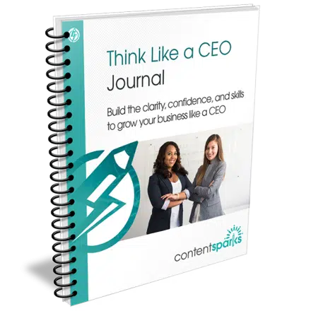Think Like a CEO - PLR Journal