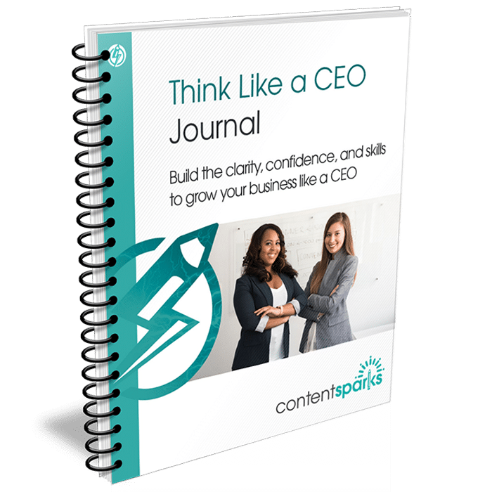 ThinkLikeACEOJournal_eCover3D Think Like a CEO - PLR Journal