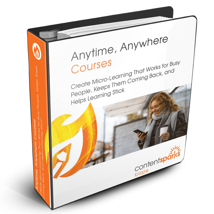 MicroLearning_Blaze3D Micro-learning PLR Course