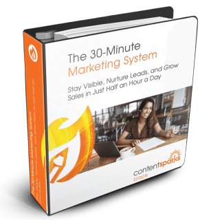 The 30-Minute Marketing System PLR course