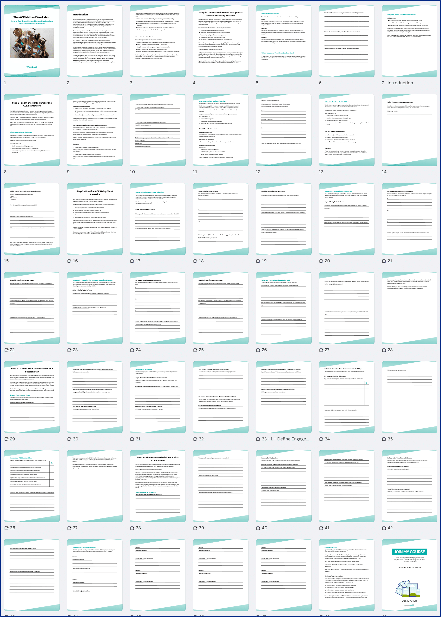 ACEWorshop_Workbook The ACE Method PLR Workshop Workbook