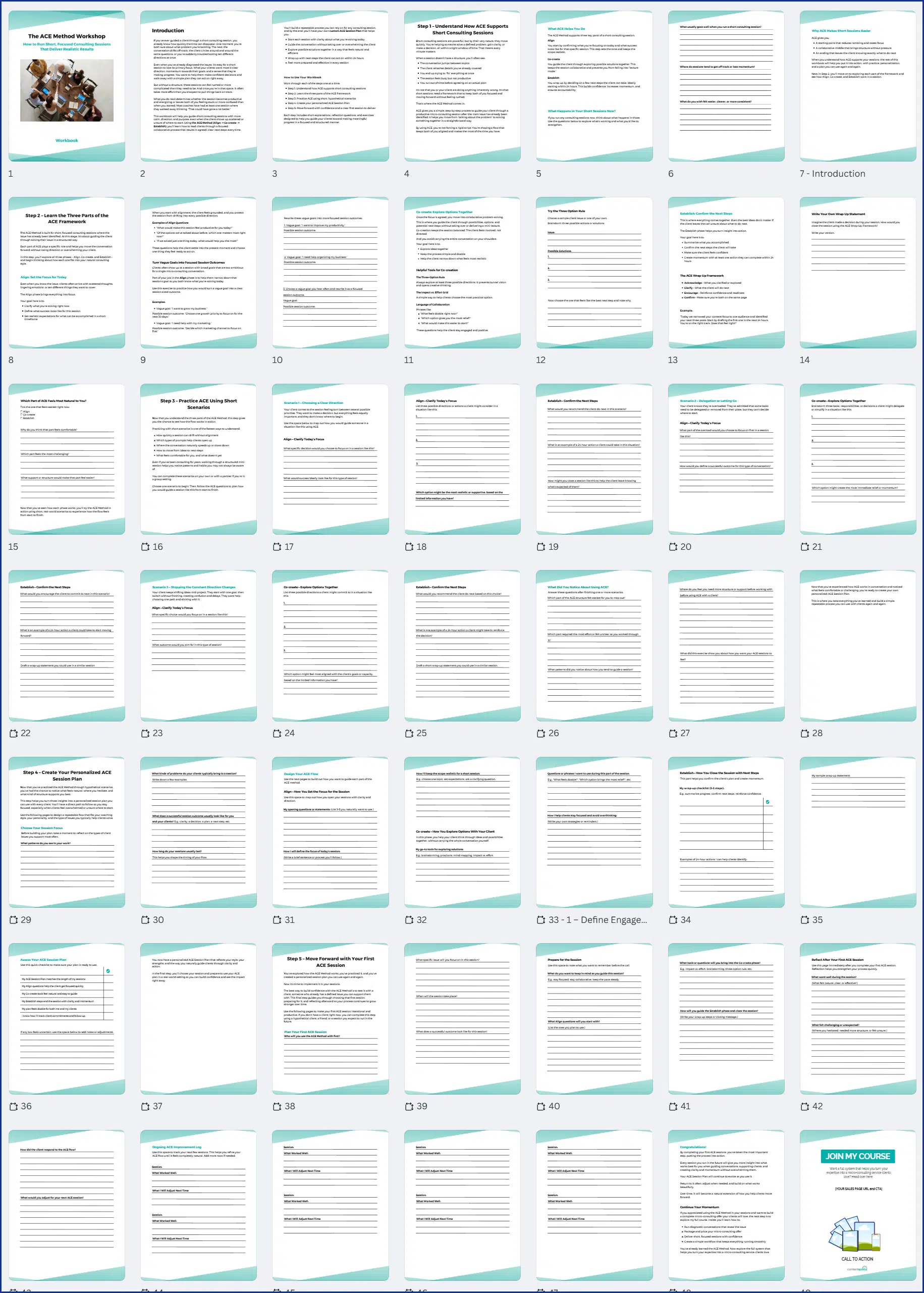 The ACE Method PLR Workshop Workbook