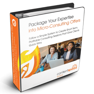 Micro-Consulting PLR Course