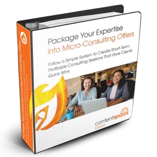 Micro-Consulting PLR Course