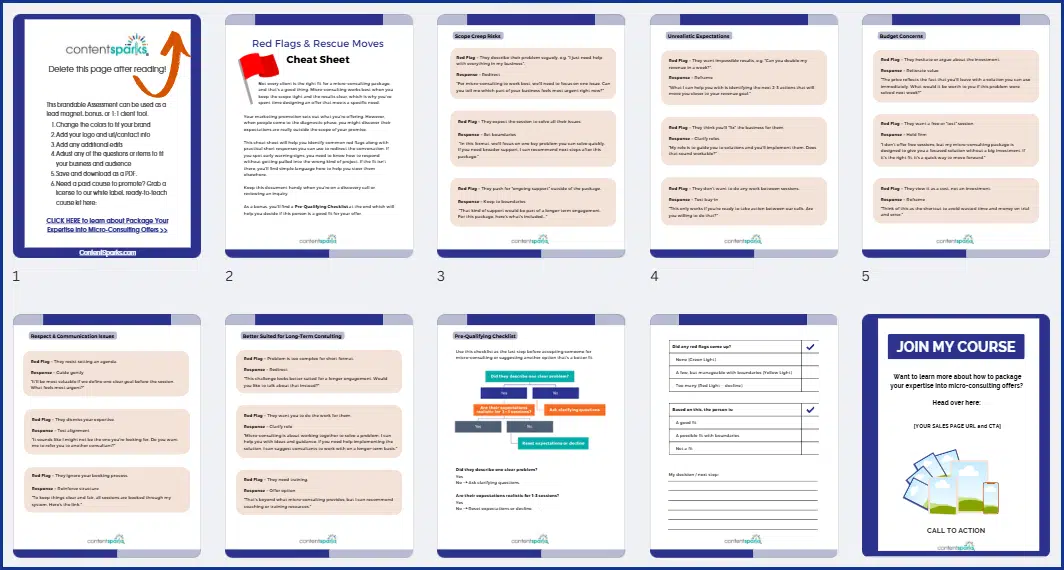 Micro-Consulting PLR Course Bonus