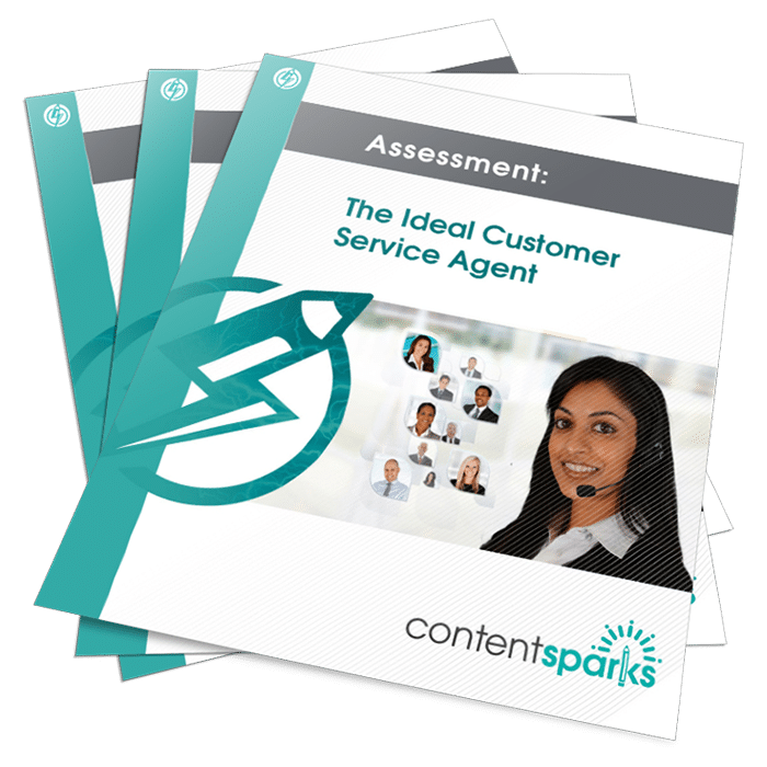 The Ideal Customer Service Agent – PLR Assessment