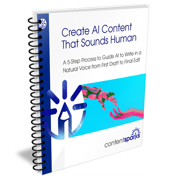 HumanizeAI_eCover3D Create AI Content That Sounds Human PLR Course