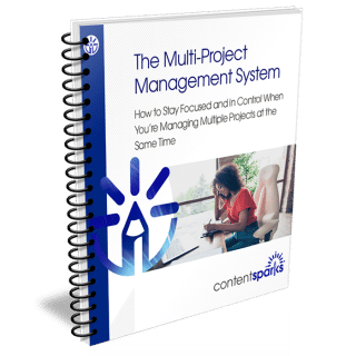 The Multi-Project Management System PLR Course