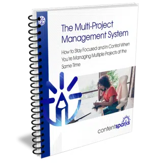 The Multi-Project Management System PLR Course