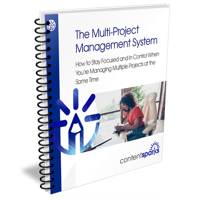 The Multi-Project Management System (PLR Workshop) 1 The Multi-Project Management System PLR Course