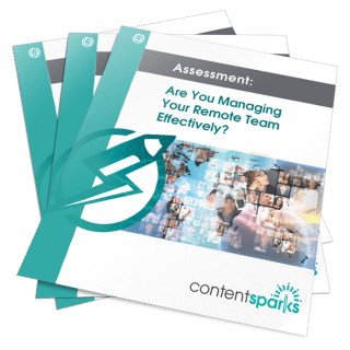 Are You Managing Your Remote Team Effectively PLR Assessment Pack