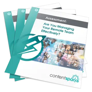 Are You Managing Your Remote Team Effectively PLR Assessment Pack