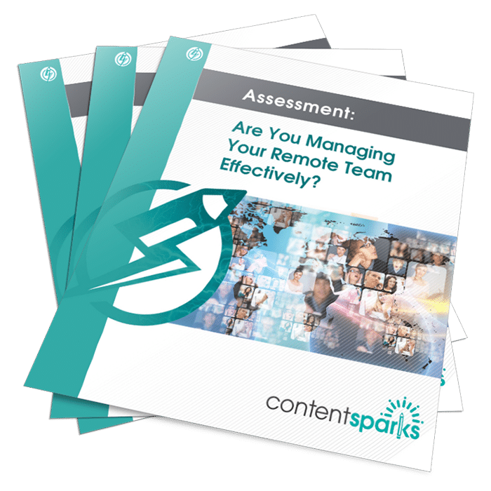 Are You Managing Your Remote Team Effectively PLR Assessment Pack