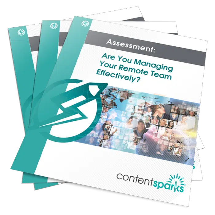 Are You Managing Your Remote Team Effectively PLR Assessment Pack