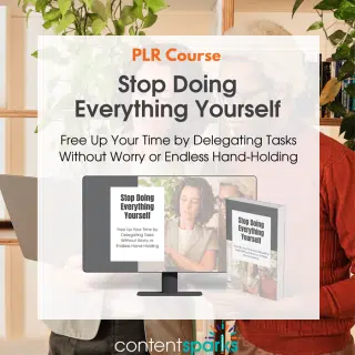 Stop Doing Everything Yourself PLR Course