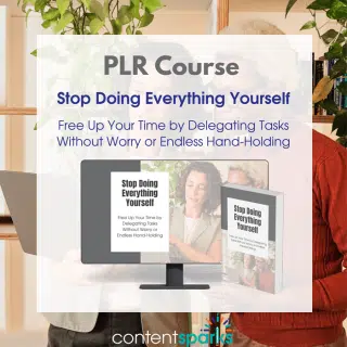 Stop Doing Everything Yourself PLR Course